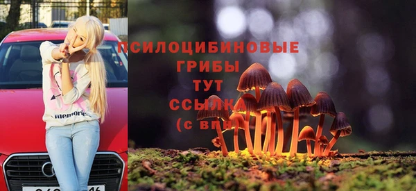 трава Богородицк